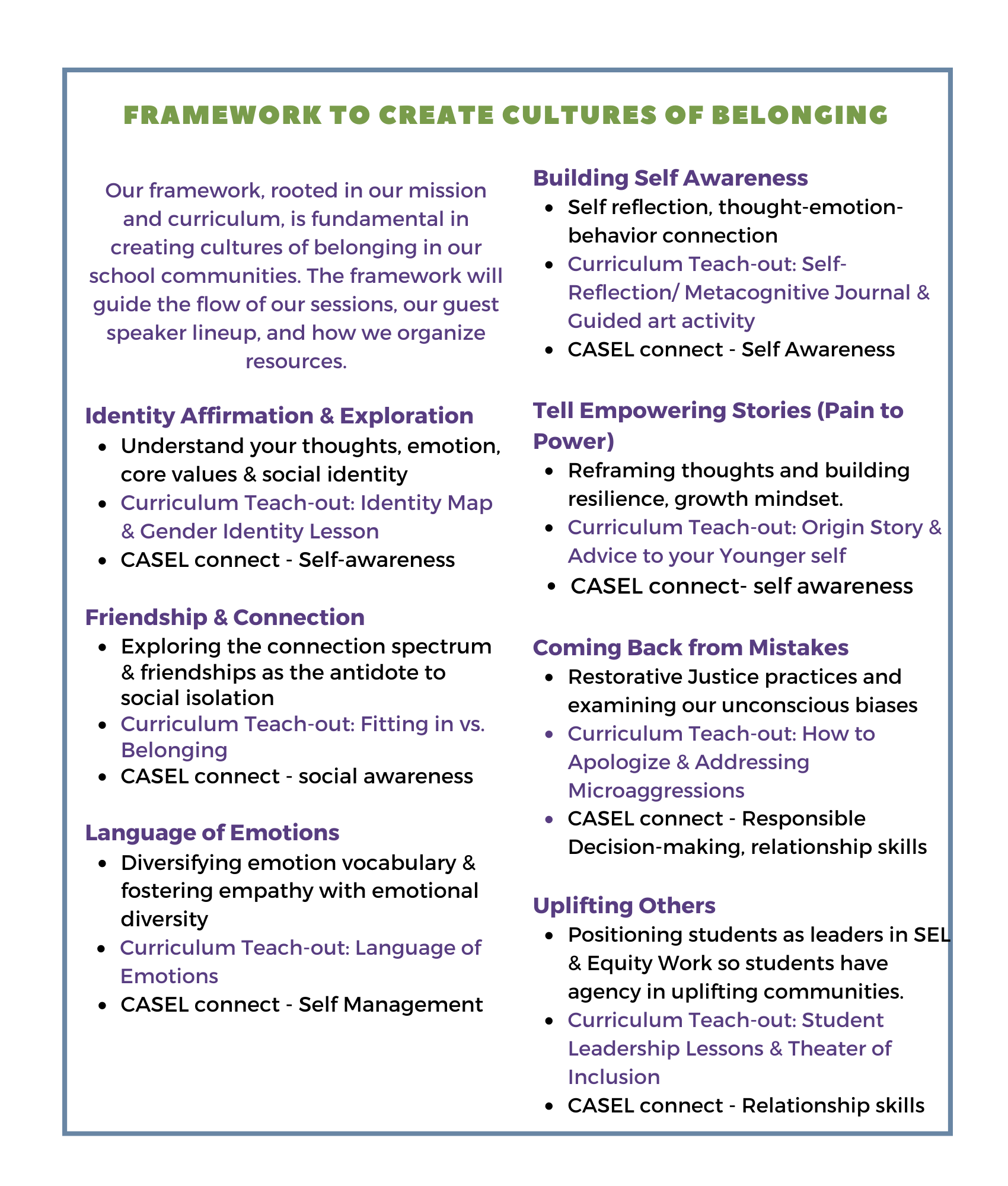Framework to Create Cultures of Belonging Flyer